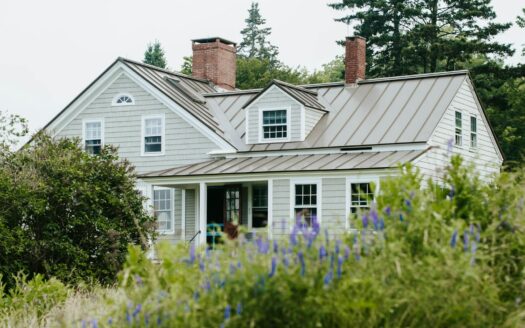 white and gray wooden house surrounded by green plants during daytime